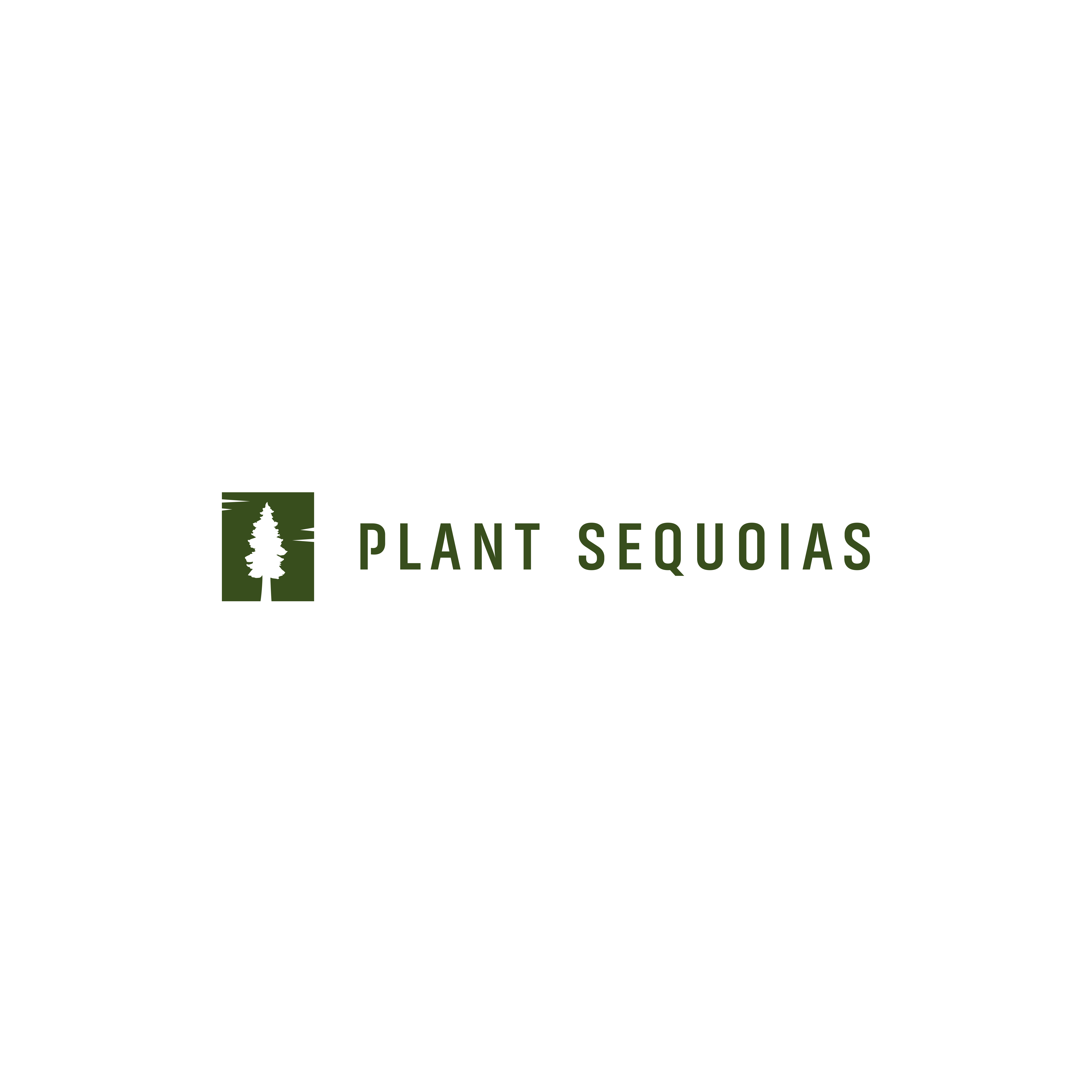 Plant Sequoias